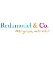 REDUMODEL